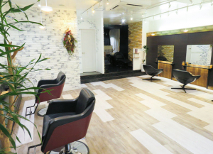 Luxury Salon Alpha